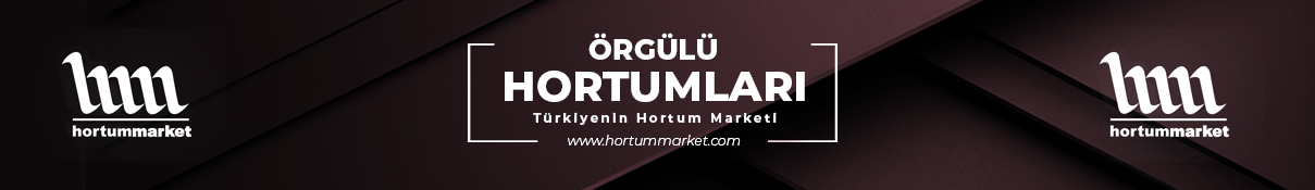 Örgülü Hortumlar